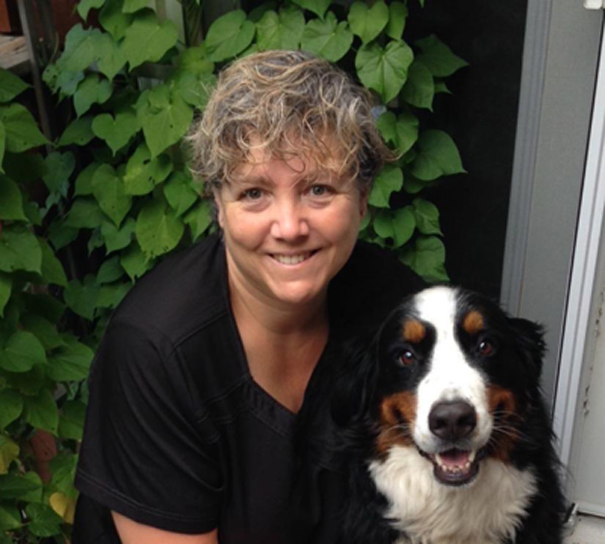 Dr. Leann Benedetti DVM Dr. Leann Benedetti DVM