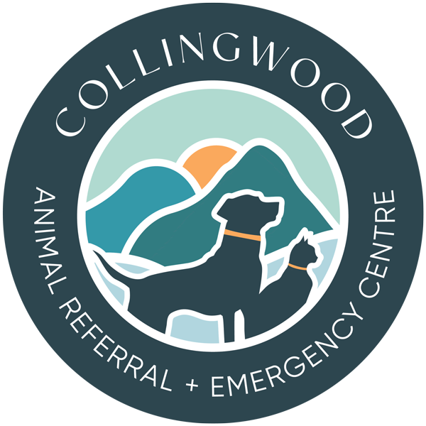 Collingwood Animal Referral & Emergency Centre Collingwood Animal Referral & Emergency Centre