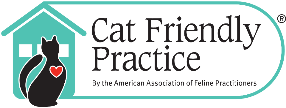 cat friendly practice