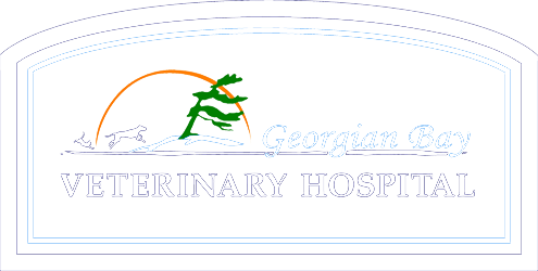 Georgian Bay Veterinary Hospital Logo